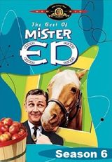 Key visual of Mister Ed 6