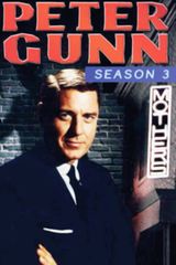 Key visual of Peter Gunn 3