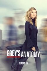 Key visual of Grey's Anatomy 16
