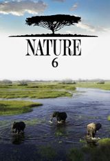 Key visual of Nature 6