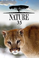 Key visual of Nature 35