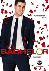 Key visual of The Bachelor 20