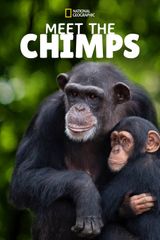 Key visual of Meet the Chimps 1