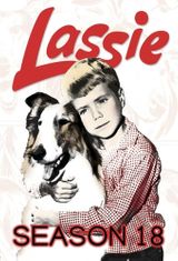 Key visual of Lassie 18