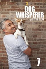 Key visual of Dog Whisperer 7