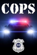 Key visual of Cops 30