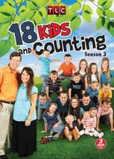 Key visual of 19 Kids and Counting 3