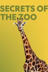 Key visual of Secrets of the Zoo 2