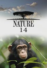 Key visual of Nature 14