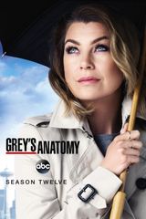 Key visual of Grey's Anatomy 12
