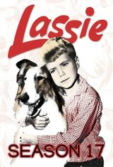 Key visual of Lassie 17