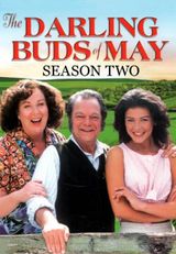 Key visual of The Darling Buds of May 2