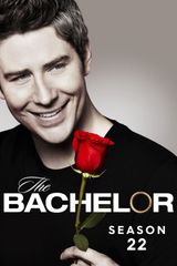 Key visual of The Bachelor 22