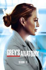 Key visual of Grey's Anatomy 17