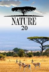 Key visual of Nature 20