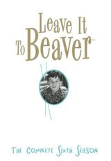 Key visual of Leave It to Beaver 6