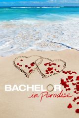 Key visual of Bachelor in Paradise 4