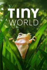 Key visual of Tiny World 2