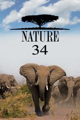 Key visual of Nature 34