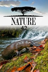Key visual of Nature 42