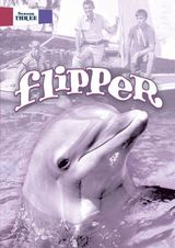 Key visual of Flipper 3