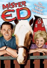 Key visual of Mister Ed 3