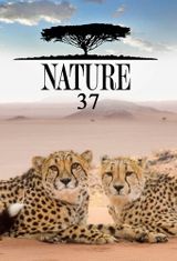 Key visual of Nature 37