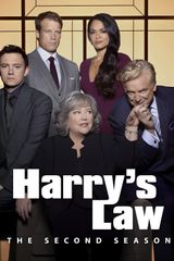 Key visual of Harry's Law 2