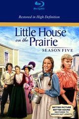 Key visual of Little House on the Prairie 5