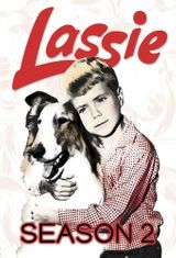 Key visual of Lassie 2