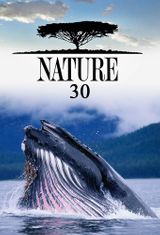 Key visual of Nature 30