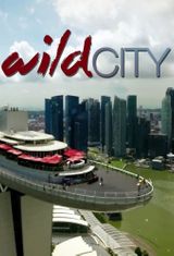 Key visual of Wild City 1