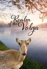 Key visual of Realm of the Volga 1