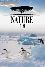 Key visual of Nature 18