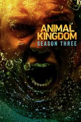 Key visual of Animal Kingdom 3