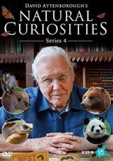 Key visual of David Attenborough's Natural Curiosities 4