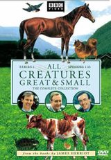 Key visual of All Creatures Great and Small 1