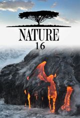 Key visual of Nature 16