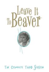 Key visual of Leave It to Beaver 3