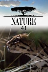 Key visual of Nature 41