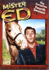 Key visual of Mister Ed 4