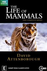Key visual of The Life of Mammals 1