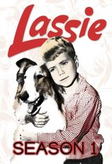 Key visual of Lassie 1