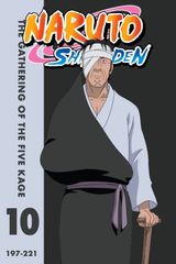 Key visual of Naruto Shippūden 10