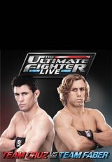 Key visual of The Ultimate Fighter 15