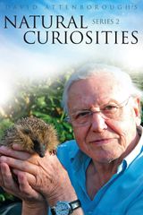 Key visual of David Attenborough's Natural Curiosities 2