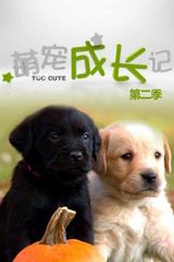 Key visual of Too Cute 2