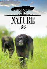 Key visual of Nature 39