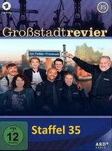 Key visual of Großstadtrevier 35