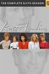 Key visual of Knots Landing 6